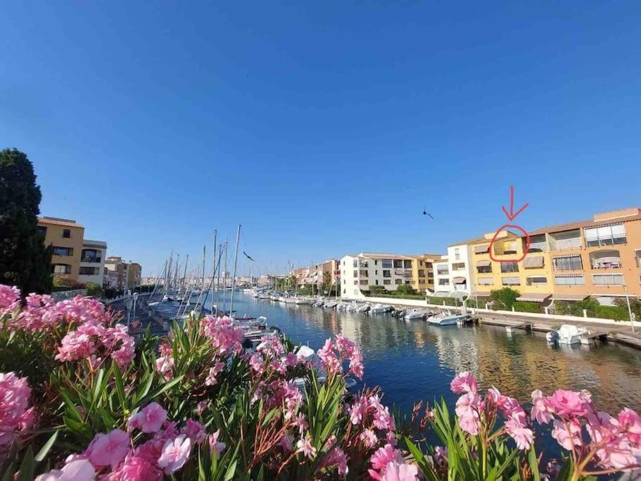 Cap'Nomad Studio Cote Port - Terrasse - Piscine - Parking Agde Zewnętrze zdjęcie