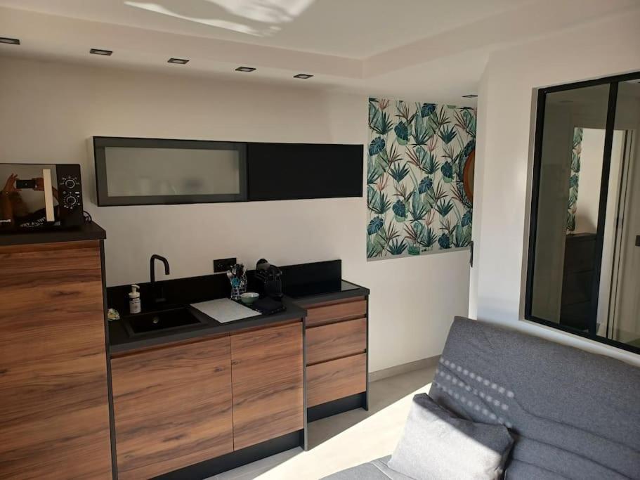 Cap'Nomad Studio Cote Port - Terrasse - Piscine - Parking Agde Zewnętrze zdjęcie